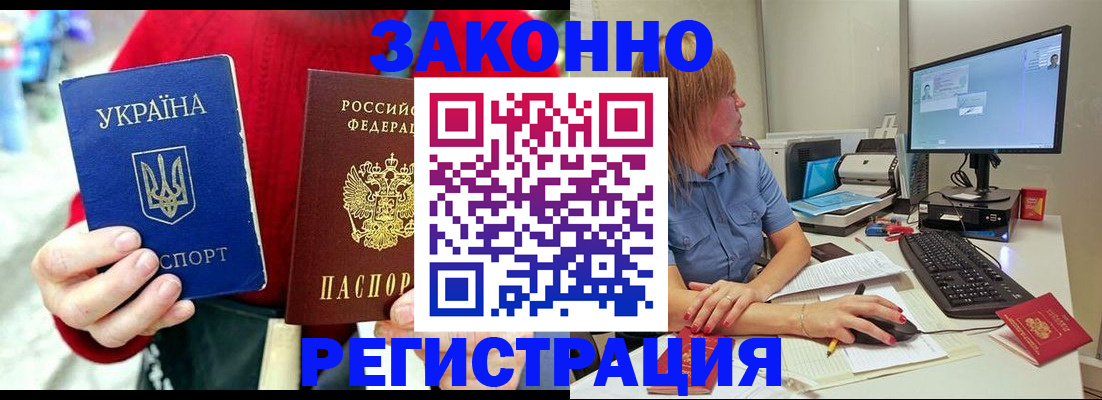 временная регистрация поиск в Курской области